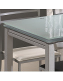 Table extensible M110