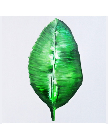 Pantalla Explosion 091 | Plantas