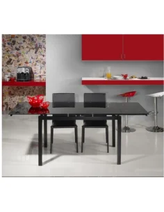 Extending table lacquered M110